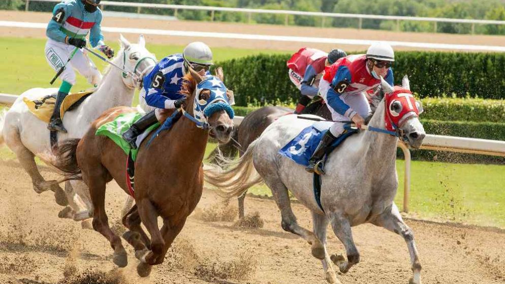 Oltre al poker, l’Ippica, uno degli sport più amati