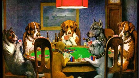 Le Probabilità di Vittoria in una Partita di Poker: Guida Completa